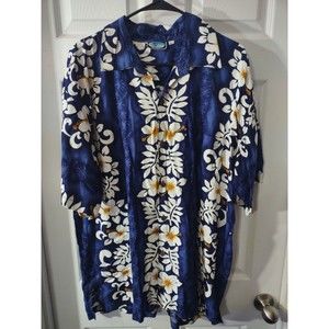Blue Sky Shirt Size XL Blue Multicolor Floral Button down Collar Looks Big